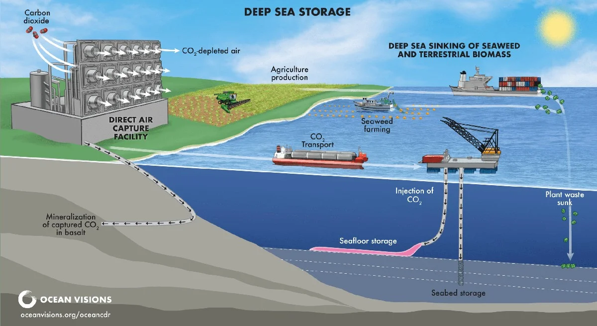 waaromvulkanisc-extra-1.webp Waarom vulkanisch puin op de oceaanbodem 40 keer meer CO₂ opslaat dan we dachten - image 1