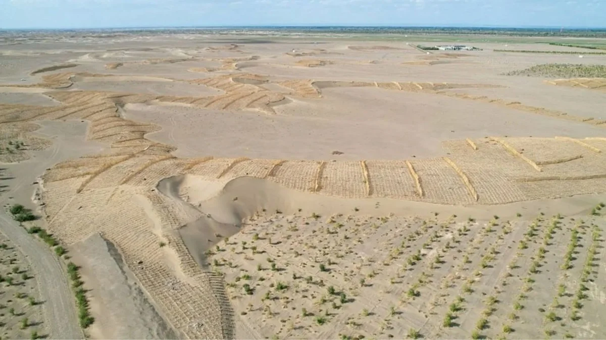 De énéén-jaar regel: Waarom wetenschappers nu algenblokken in de woestijn gooien