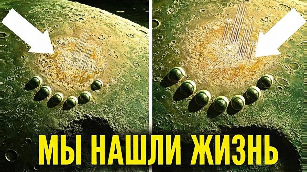 Waarom de eerste buitenaardse beschaving die we vinden waarschijnlijk een vreemde eend in de bijt is - image 1