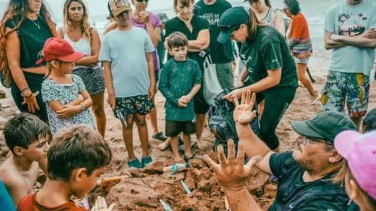 De zandkorrel als tijdcapsule: zo lees je de prehistorie in de duinen