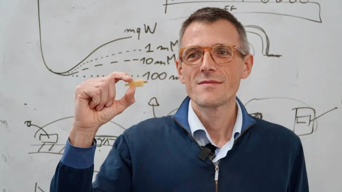 Waarom een bergamasco ingenieur een eetbare oplaadbare batterij ontwierp