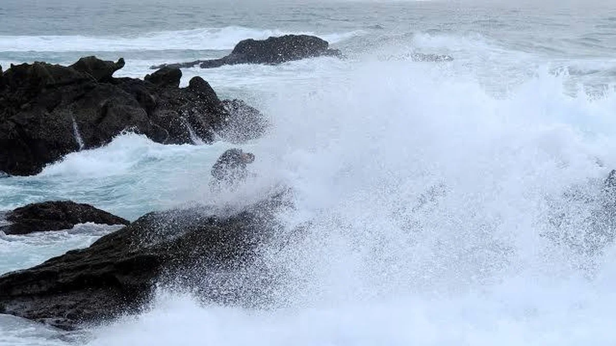 De oceaan absorbeerde in één jaar zoveel warmte dat het 37 jaar wereldwijd energieverbruik evenaart