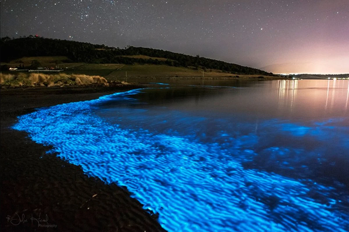 waaromderodeglo-extra-1.webp Waarom de rode gloed op Tasmanië tegelijkertijd een natuurwonder en een waarschuwing is - image 1