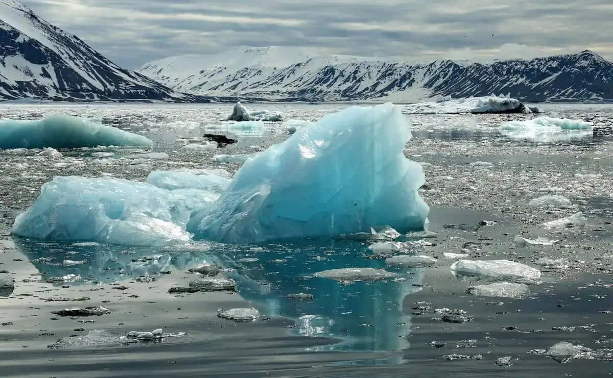 wetenschapisbez-extra-2.webp Wetenschap is bezorgd: De Noordpool kende het warmste jaar ooit gemeten - image 2