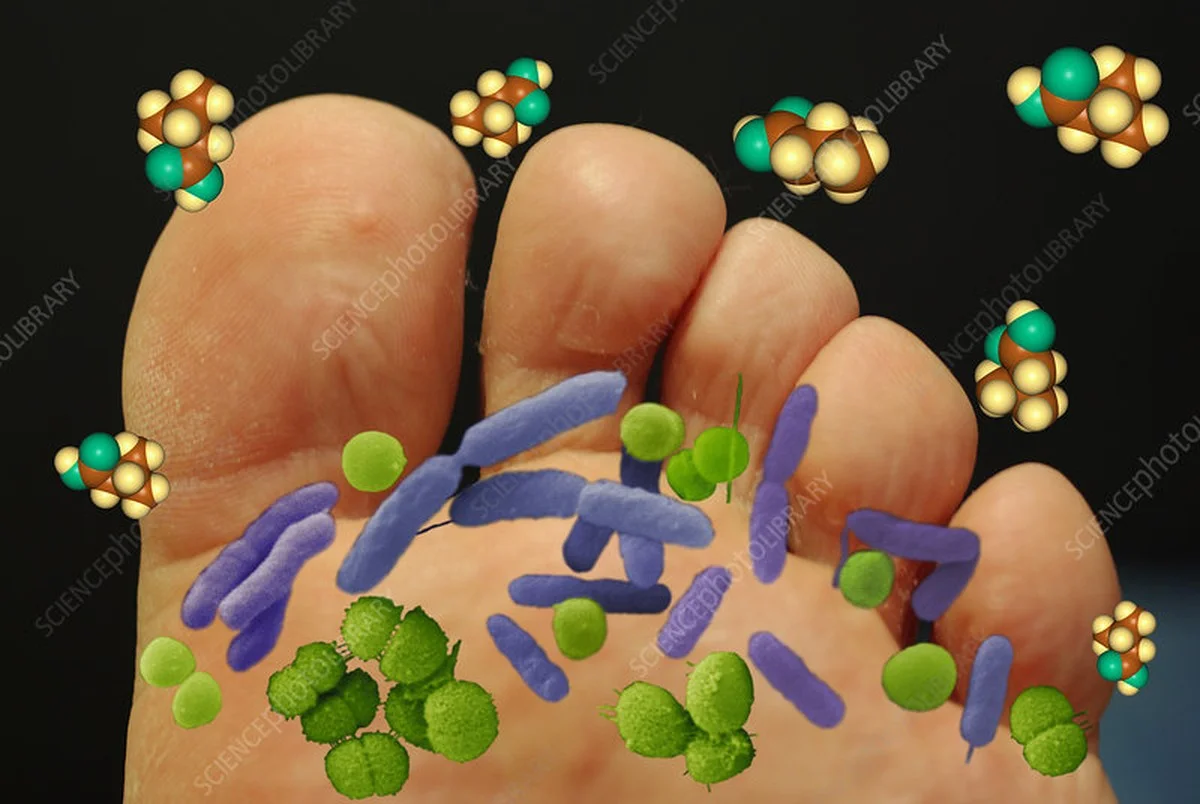 waaromervarenmi-extra-1.webp Waarom ervaren microbiologen hun sokken na één dag dragen direct weggooien - image 1