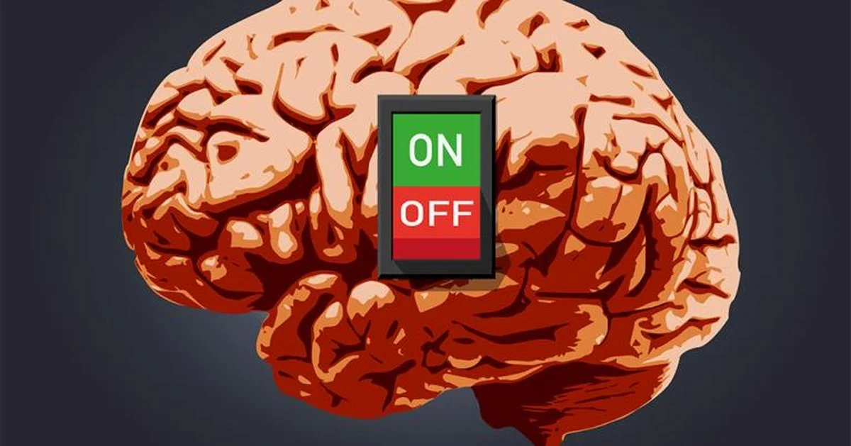 wetenschappersv-extra-1.webp Wetenschappers vonden de KCC2-eiwitschakelaar die bepaalt hoe snel u een gewoonte aanleert: goed of slecht - image 1