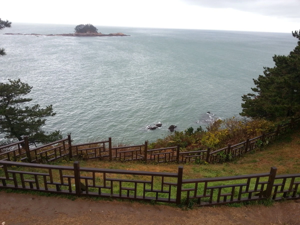 Waarom één vrouw 150 jaar geleden 500 camelia