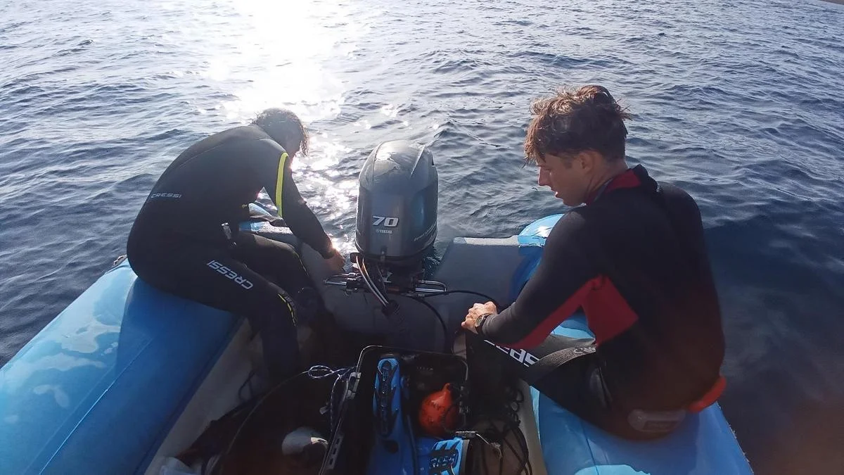 Waarom de vissenpopulatie voor de kust van Ibiza zo kwetsbaar is, volgens nieuw onderzoek