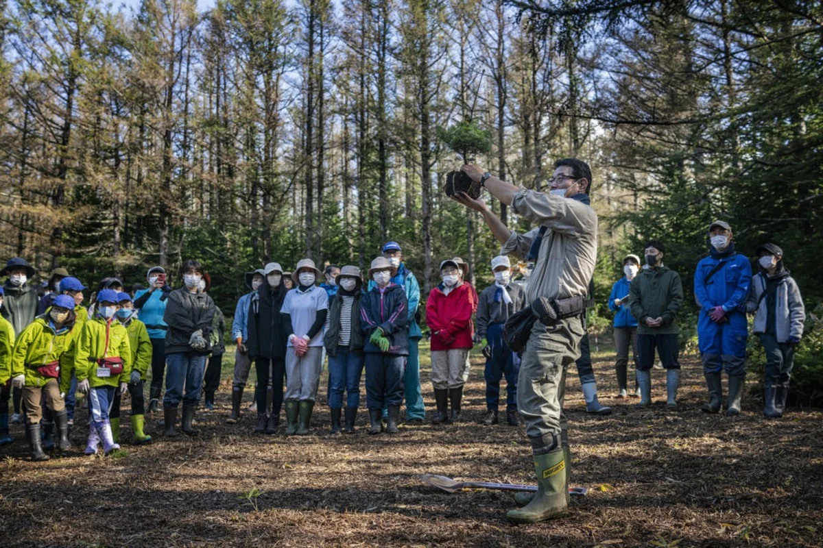 deverborgenvisj-extra-2.webp De verborgen visjes van Tamana: Waarom de