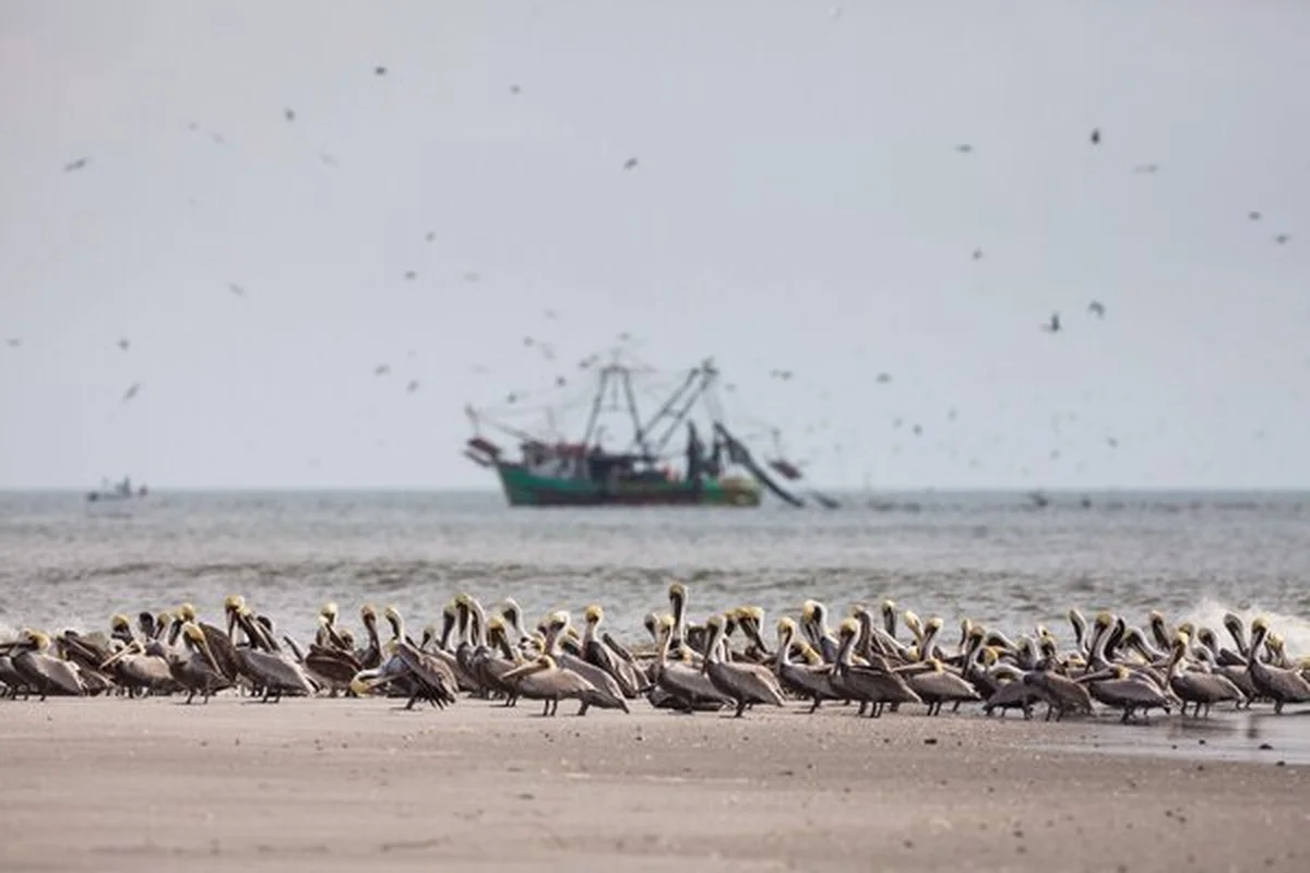 waaromexpertsve-extra-1.webp Waarom experts verrast zijn door de plotselinge