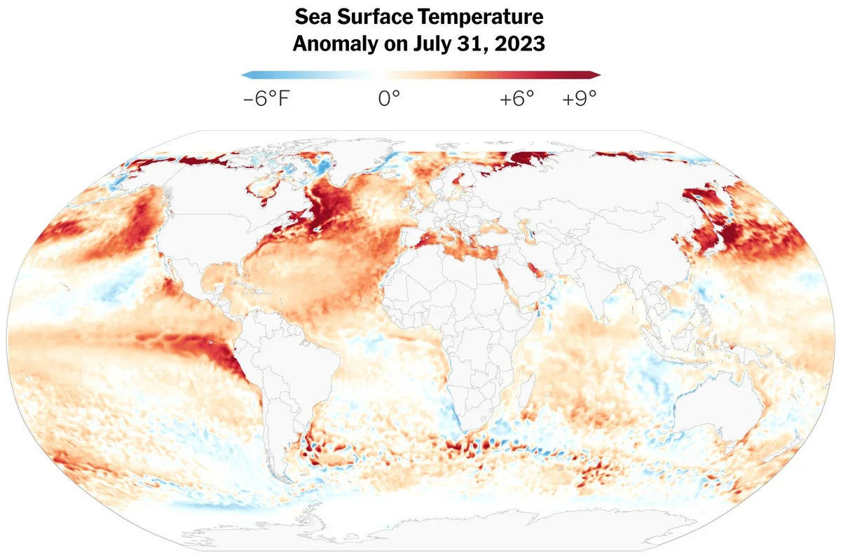 De verschuiving van de Kuroshio-stroom: waarom Japanse wetenschappers slapeloze nachten hebben - image 1