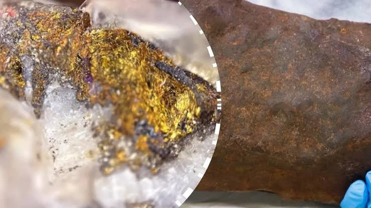 Waarom honden hun kop schuin houden: uitleg en inzichten