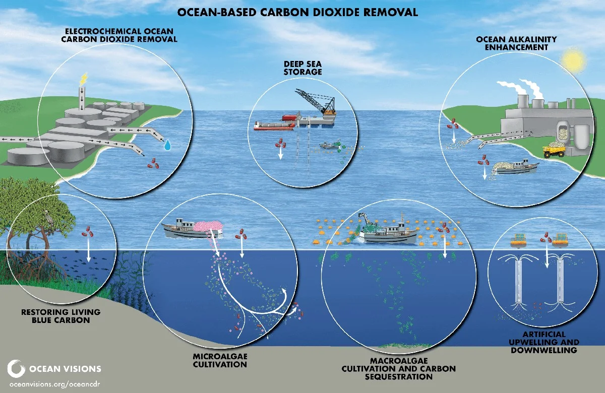 Waarom klimaatmodellen de co₂-opname van de zee structureel onderschatten - image 1