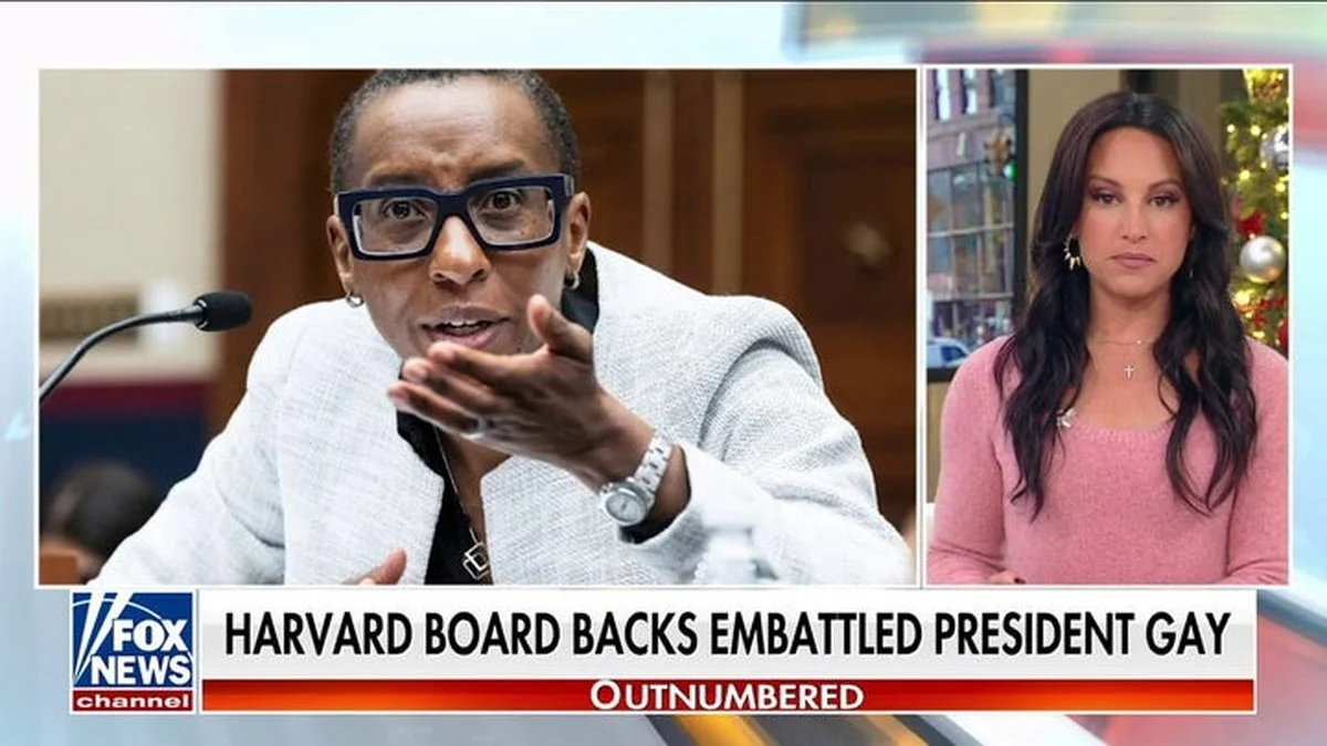 waaromdenieuweu-extra-1.webp Waarom de nieuwe UGent-rector nu al drie citaten moet schrappen uit haar openingsrede - image 1