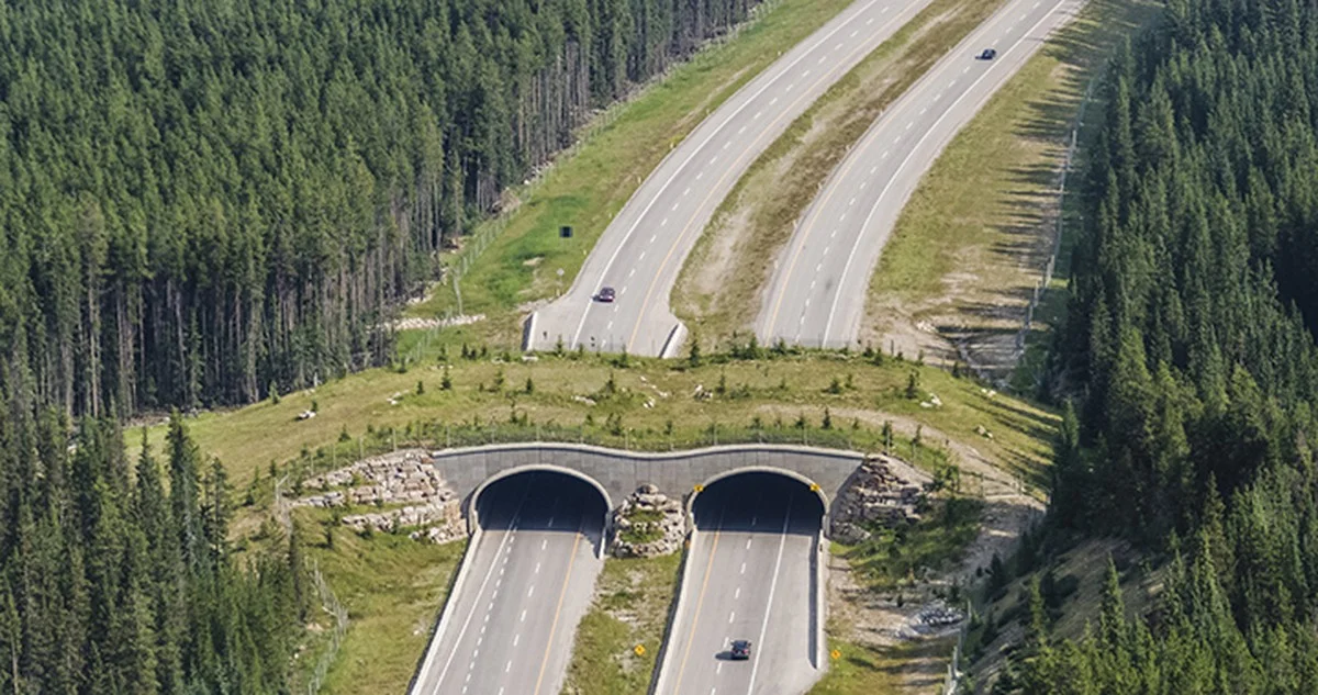 De vreemde ‘slalom-tunnels’ die op de grens met Jordanië verschenen (en waarvoor ze écht zijn) - image 2