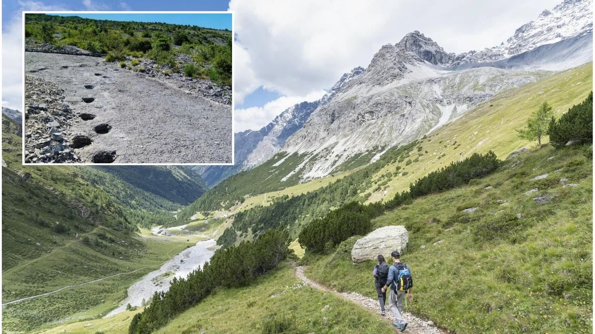 Deze wandeling in het Stelvio Park onthult 210 miljoen jaar oude dinosaurussporen, dankzij het smeltende ijs