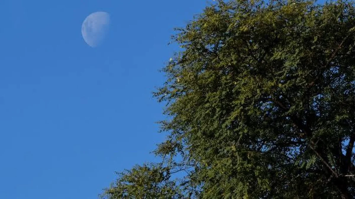Waarom je zaterdagavond je ogen op de maan en Saturnus moet richten