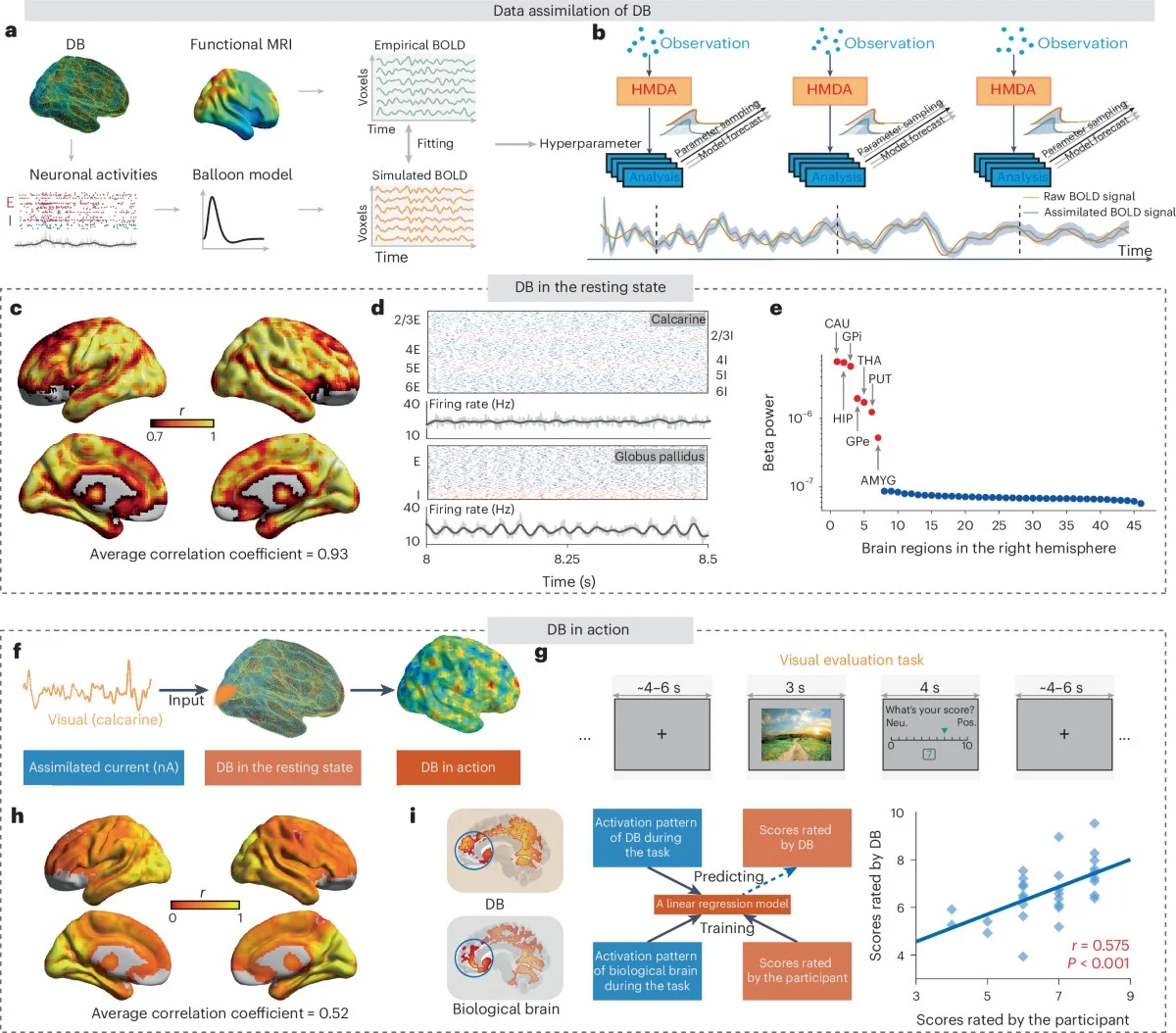 Wetenschappers bootsten oogmuzincortex na: de mogelijkheden zijn eindeloos - image 1