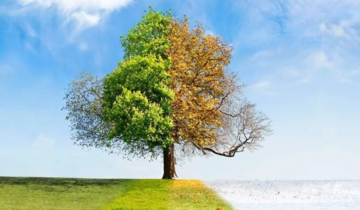 Waarom de lente in Nederland steeds korter wordt: het zit hem in de Arctische warmte - image 2