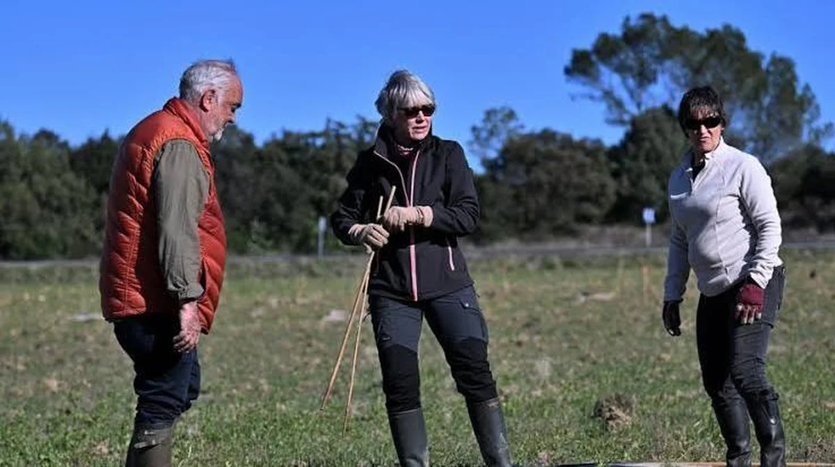 Waarom 99% van de boeren de fout maakt met hun bodem (en hoe je dit nu herstelt)