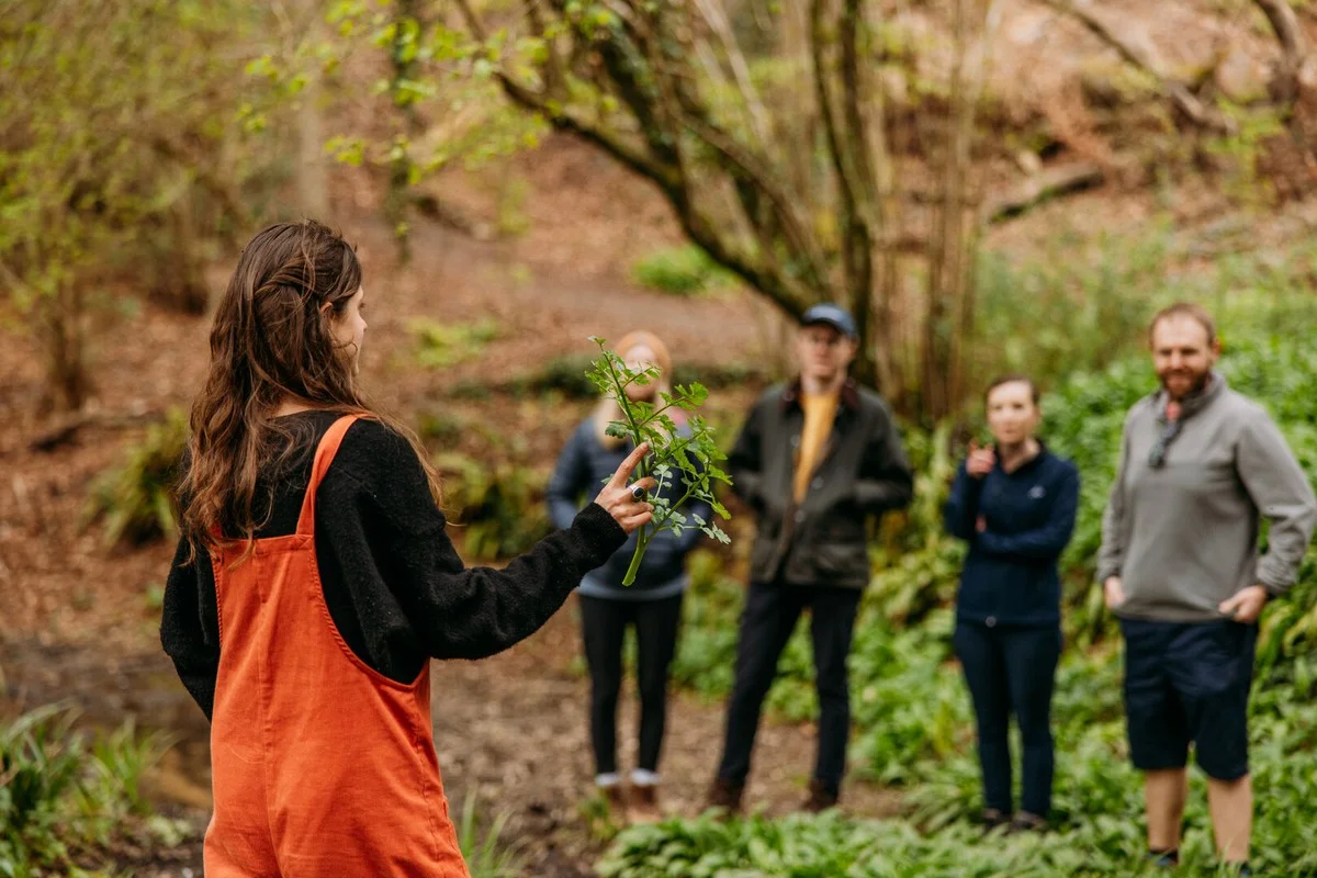 ontdekdeverborg-extra-2.webp Ontdek de verborgen paddenstoelenroute: waarom experts één specifieke spons onderaan je bloempot plaatsen - image 2