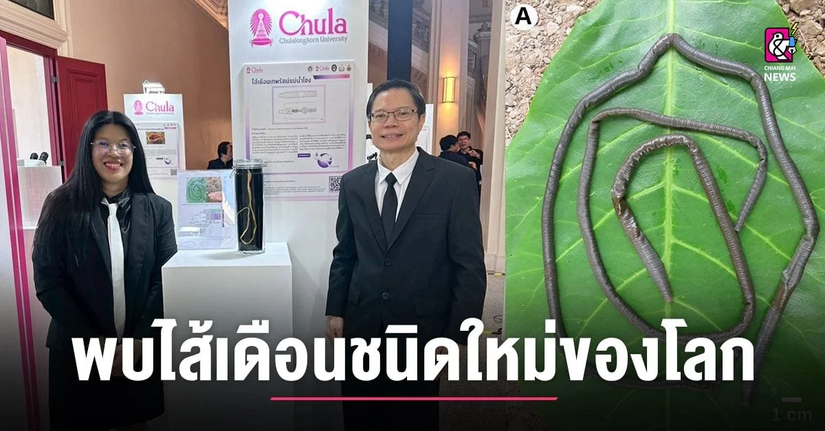 De onverwachte ontdekking van een nieuwe wormsoort langs de Mekongrivier