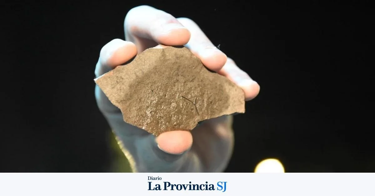 Waarom dat stukje droge grond in Pocito ooit een oerzee was, blijkt uit deze 400 miljoen jaar oude vondst