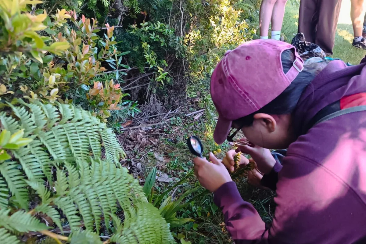 Gemeenschap helpt bedreigde orchideeën spotten met nieuwe app