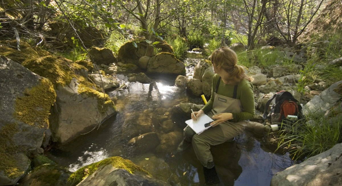 dezewetenschapp-extra-2.webp Deze wetenschappers streamen de meest intieme momenten van pinguïnouders live naar je scherm - image 2