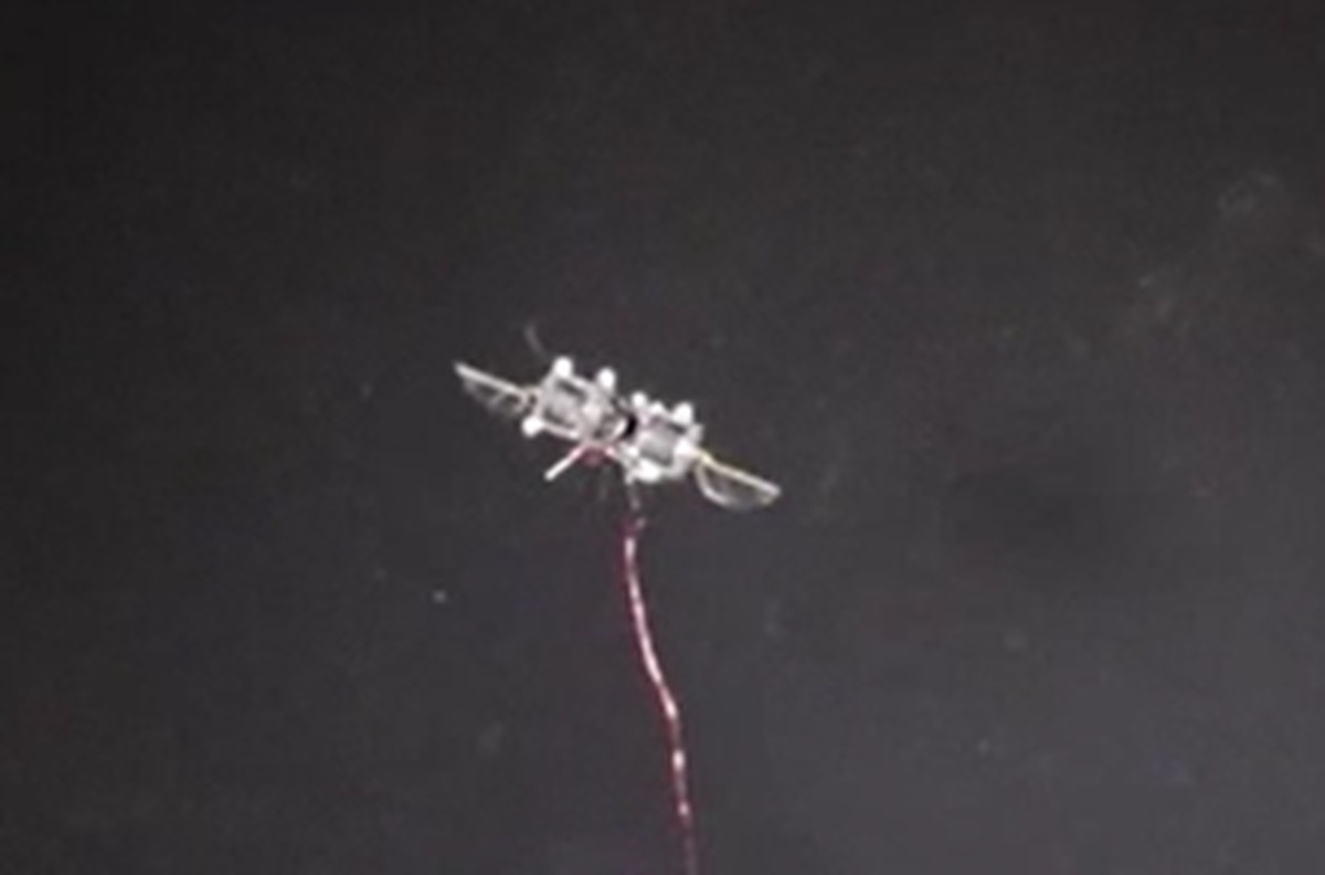 Insectachtige micro-robot vliegt acrobatisch als levend insect