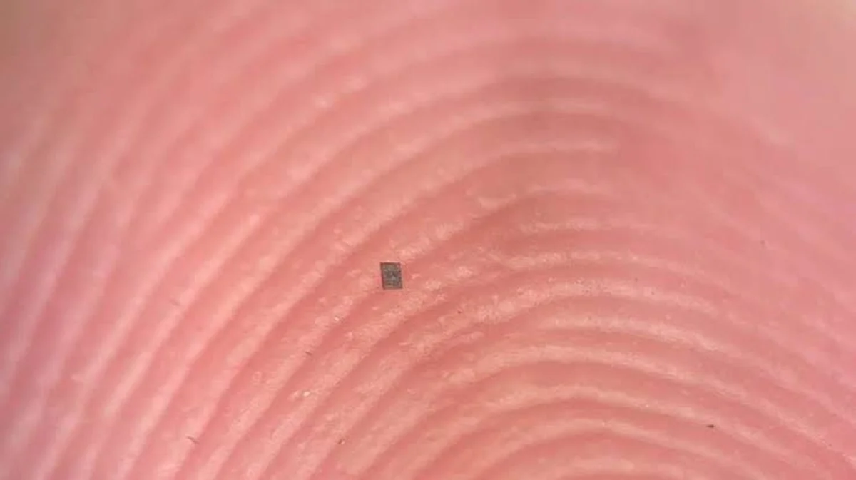 Ik probeerde 40 jaar oude robotica-regel te negeren: dit is hoe ze het oplosten met zoutkorrel-grote machines