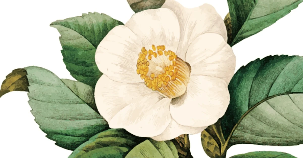 waaromjedezevie-extra-2.webp Waarom je deze vier verborgen gele bloemen in Gunma niet mag missen deze winter - image 2