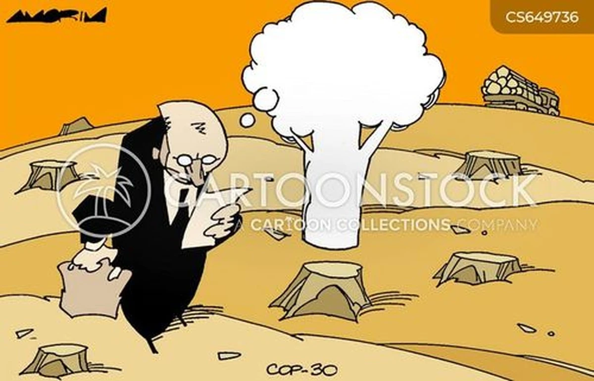 Nederland loopt achter: waarom 725 bedreigde soorten wachten op een plan - image 2