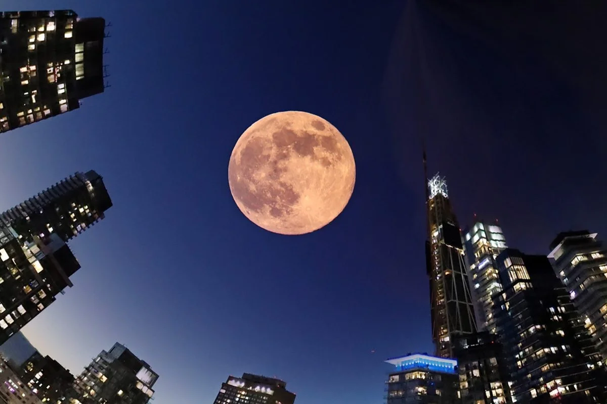 waaromjedeeerst-extra-1.webp Waarom je de eerste supermaan van 2026 niet mag missen: zo zie je hem groter en helderder - image 1