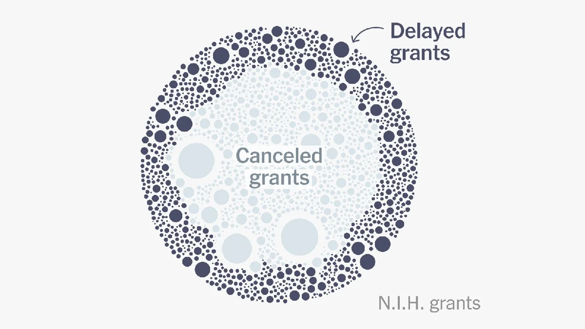 waaromwetenscha-extra-2.webp Waarom wetenschappers nu vrezen voor hun reeds goedgekeurde onderzoekssubsidies - image 2