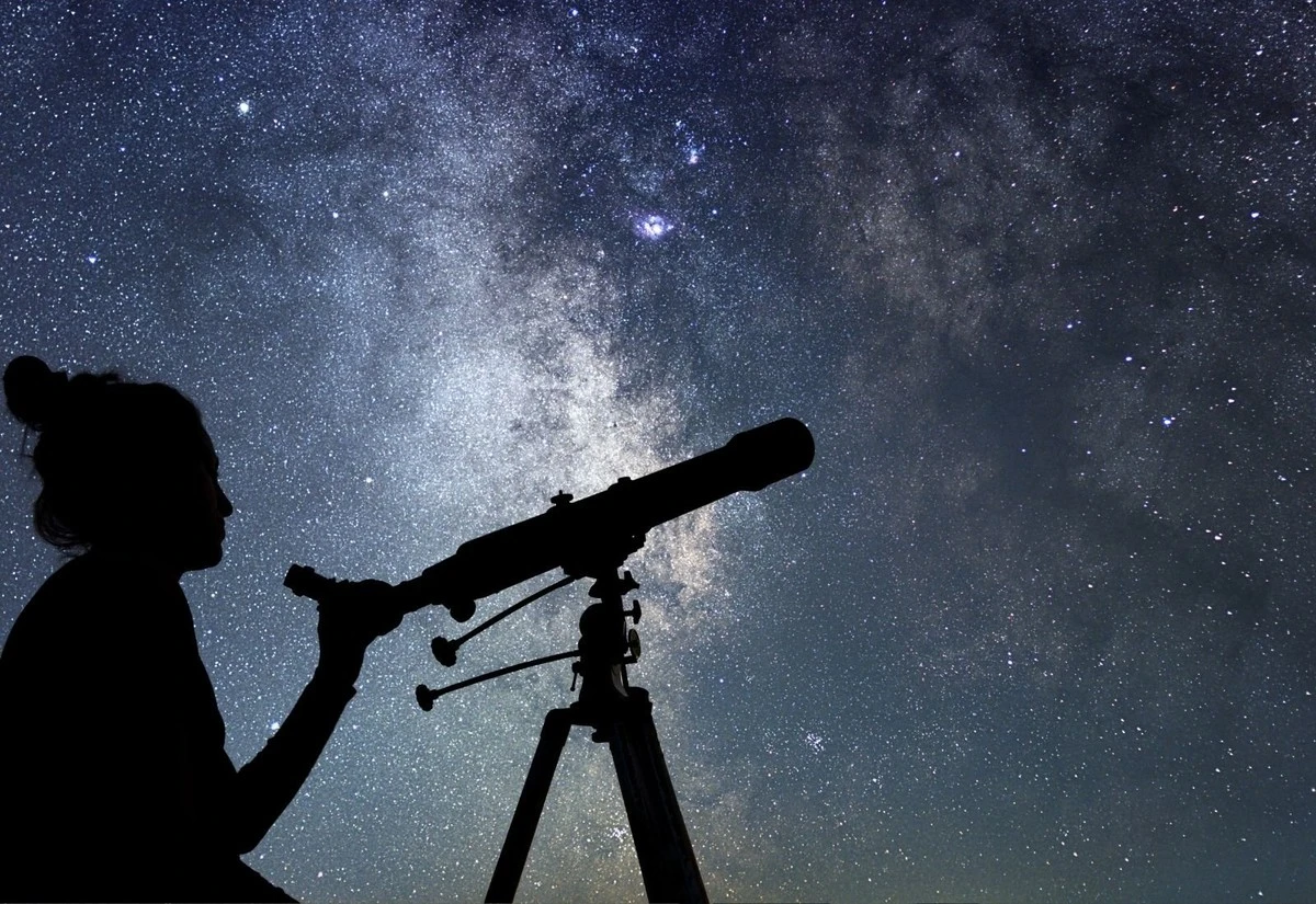 Vergeet je tuinmeubels: de specifieke truc met kaneel die je planten elke winter robuust houdt