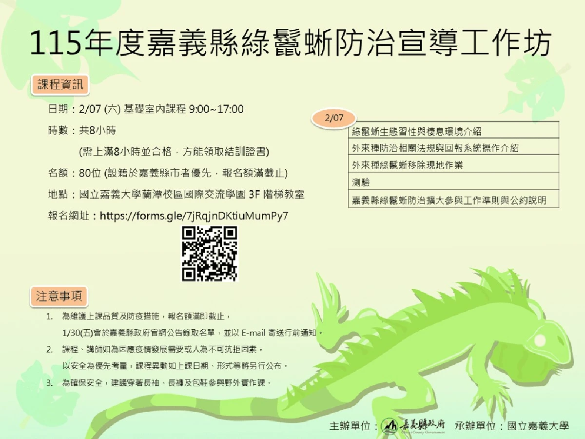 Verplichte groene leguaan jachtcursus: waarom jouw gemeente mogelijk betaalt om deze invasieve hagedis te vangen