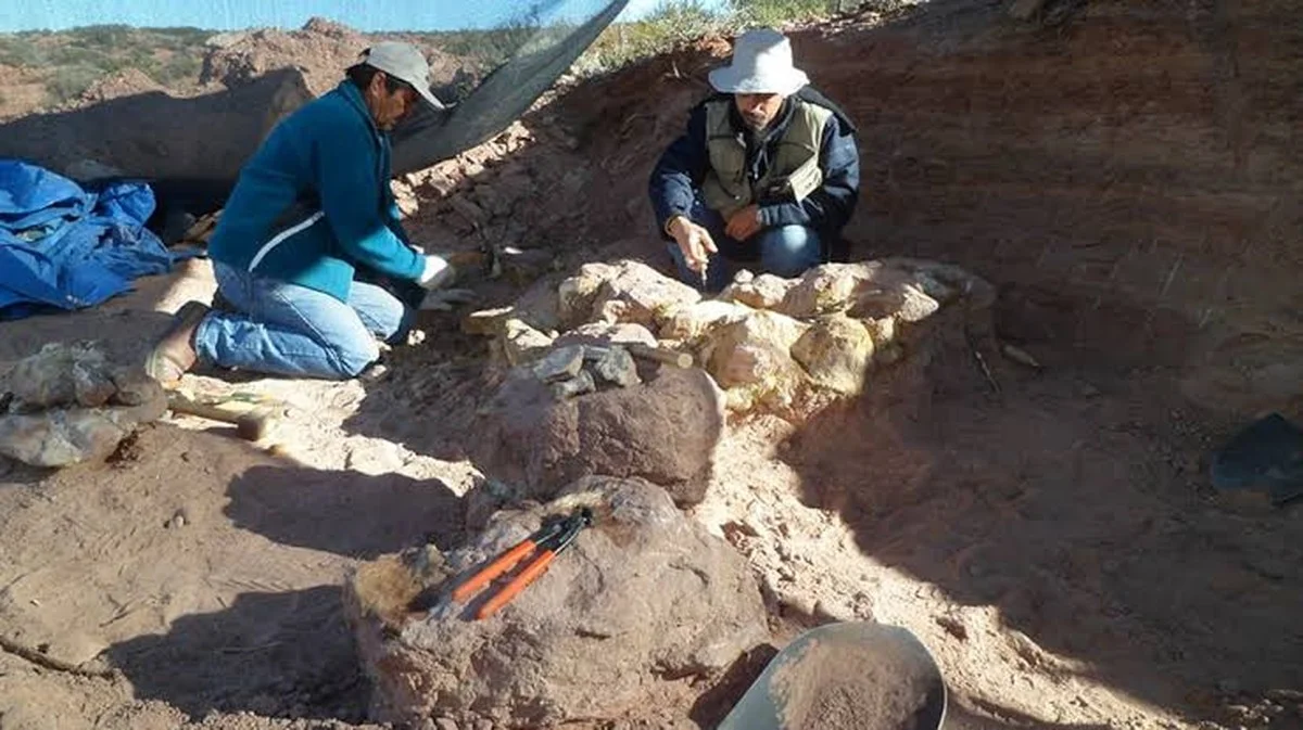 Verrassende ontdekking in Argentinië: dit is waarom een 83 miljoen jaar oude dinosaurus zo'n klein hoofd had