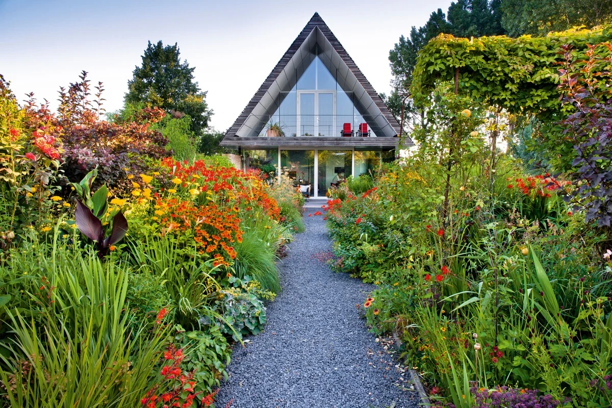 Deze populaire tuinplanten staan op het punt illegaal te worden in Nederland - image 2