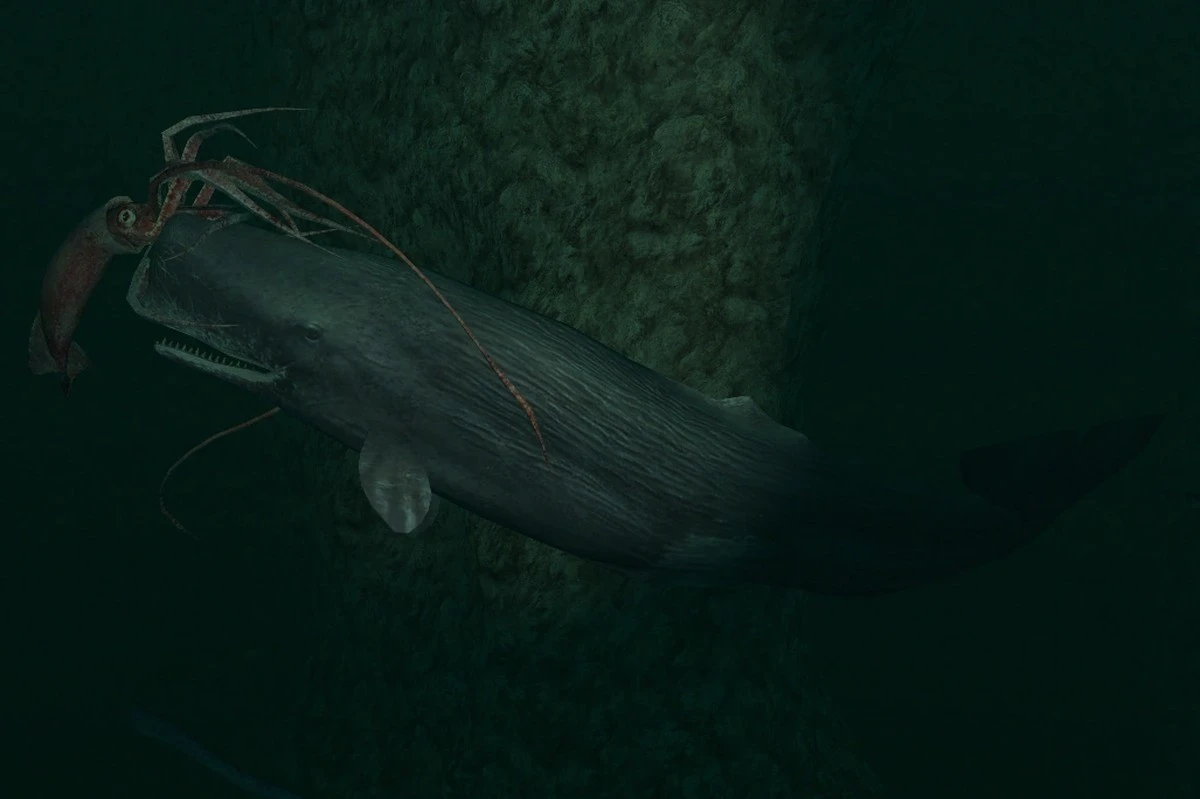 Hoe potvissen en reuzeninktvissen al 50 miljoen jaar een stille wapenwedloop voeren - image 1