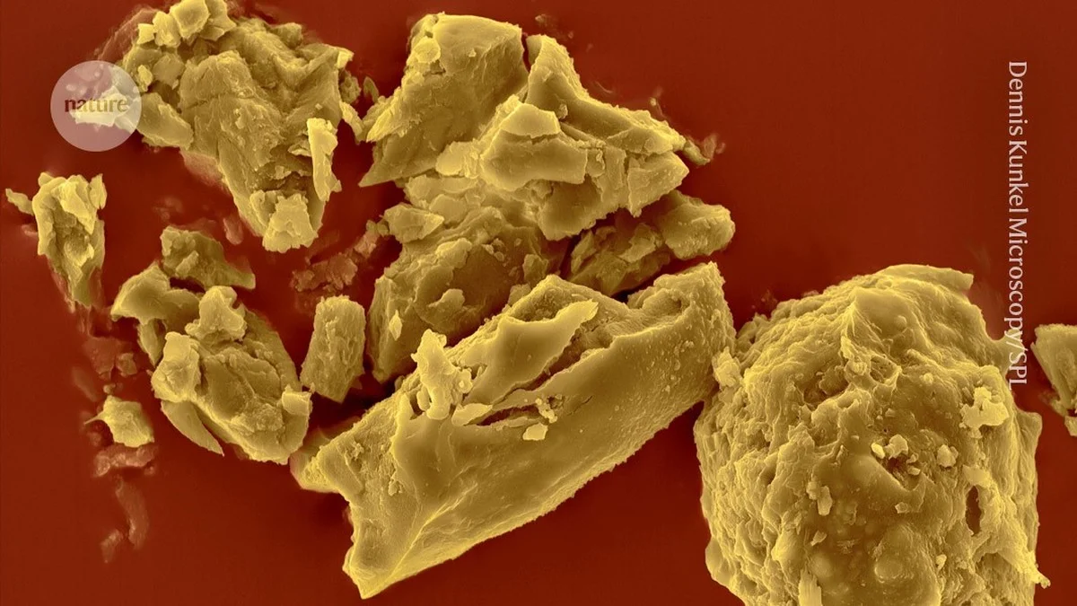 Wetenschappers maakten de ‘onmogelijke’ molecuul: is dit de blauwdruk voor leven in de ruimte? - image 1