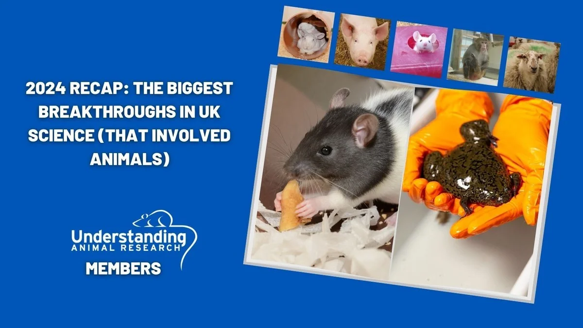 waaromervarenwe-extra-2.webp Waarom ervaren wetenschappers een lepel kaneel in hun koffie bewaren - image 2