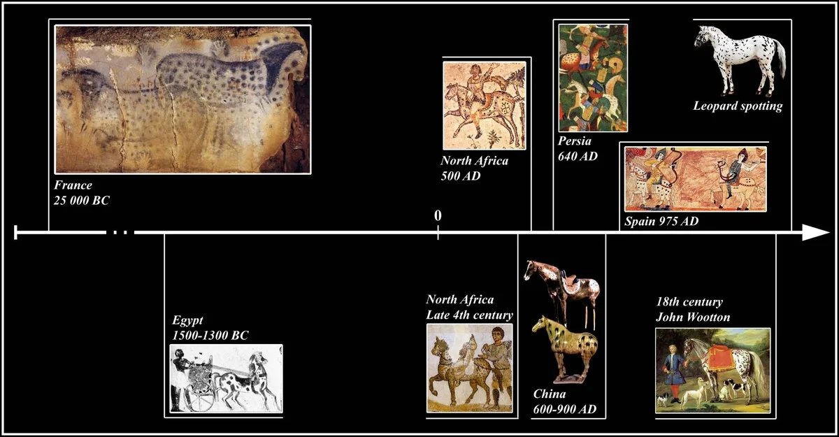 Zoölogen vinden zeldzaam dna van het mammoetneushoorn in maag van 14.000 jaar oude wolf - image 1