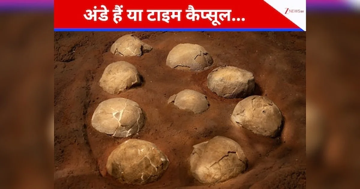 Waarom onderzoekers de leeftijd van dinosaurus-eieren nu bepalen met uranium in de schaal