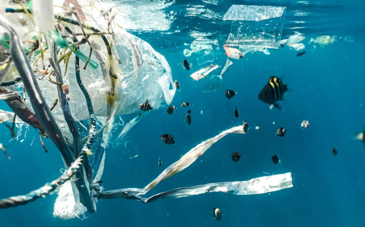 De vuilnisbak onder zee: waarom deze 