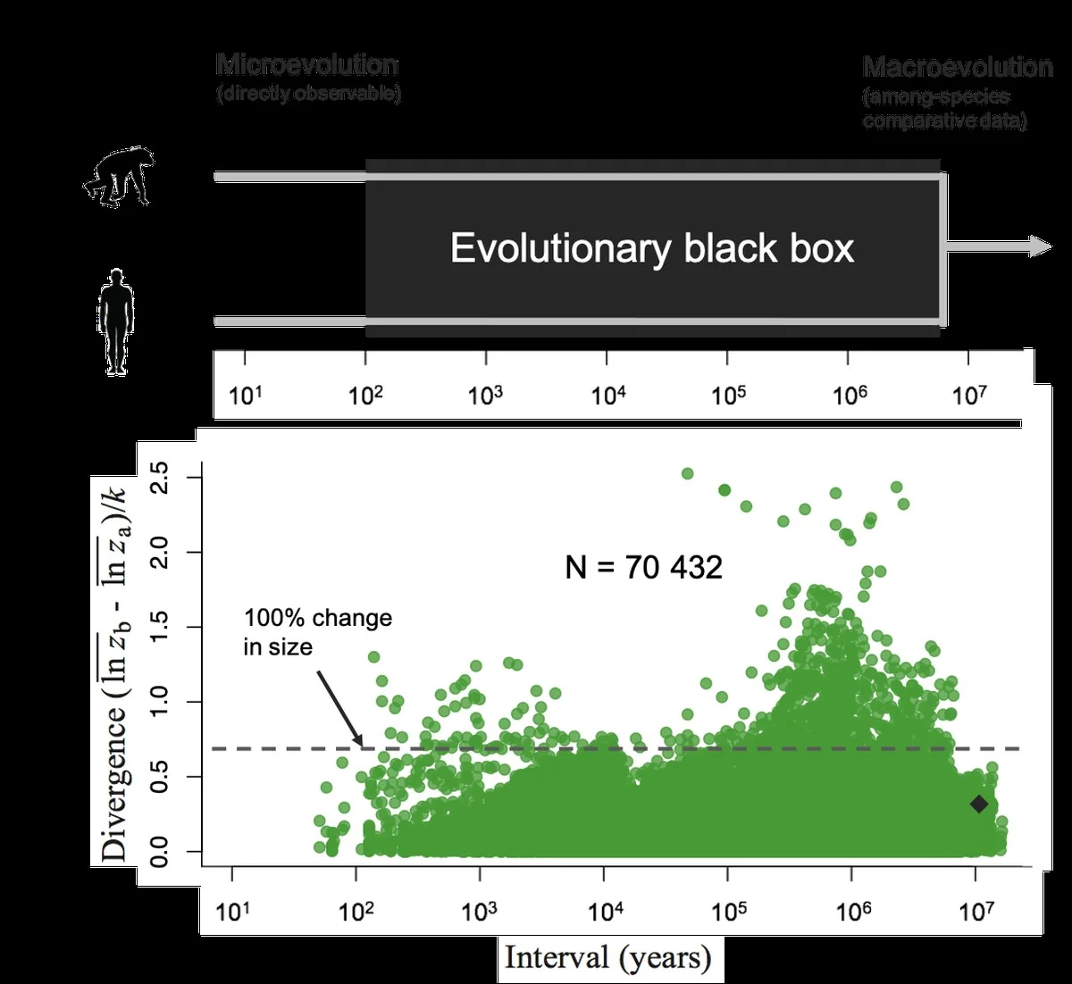 Hoe één spin op de Canarische Eilanden de helft van zijn dna verloor - image 2