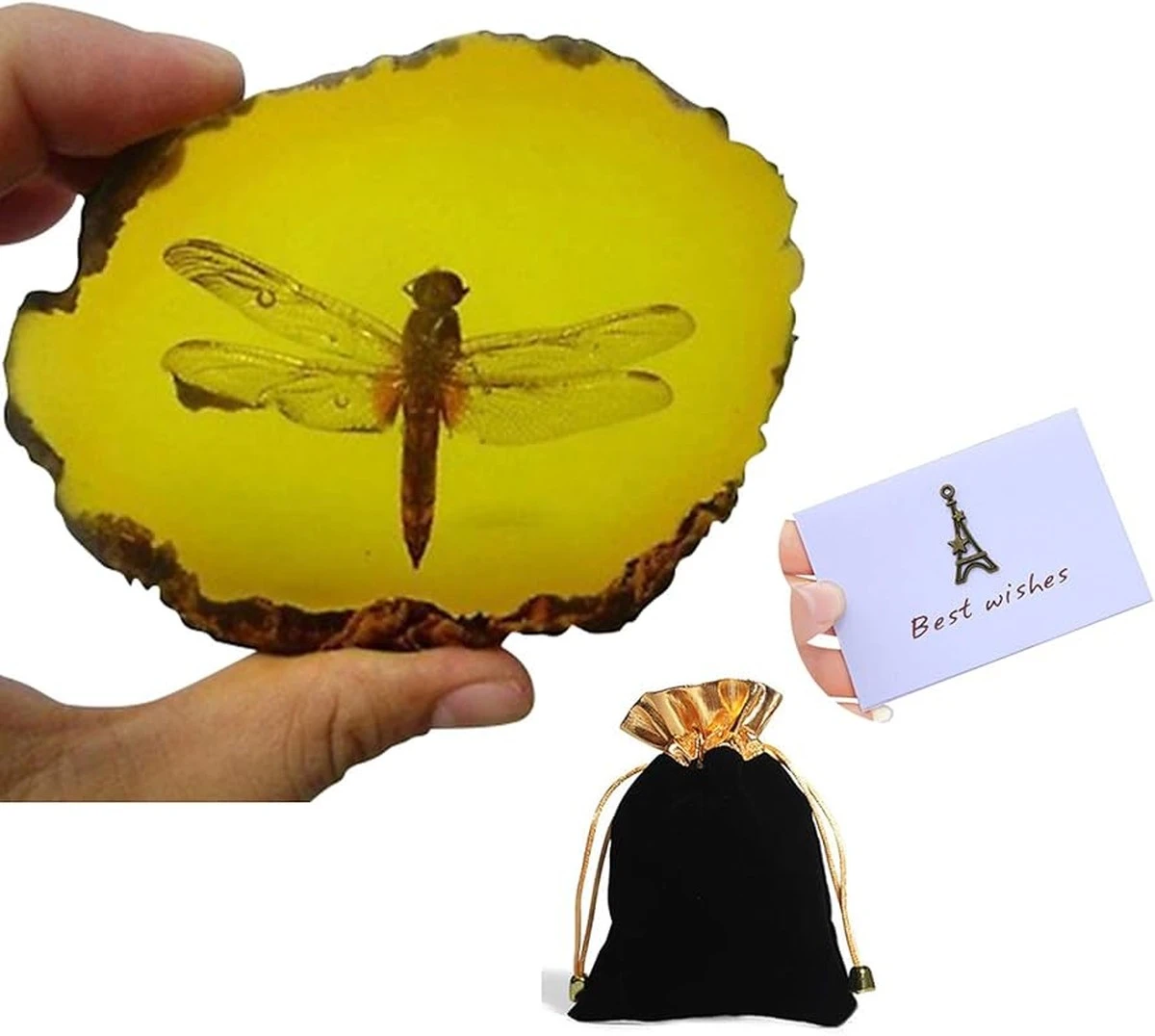 De 40 miljoen jaar oude mier die Goethe miste in zijn barnsteen: de verborgen scan-sensatie - image 1