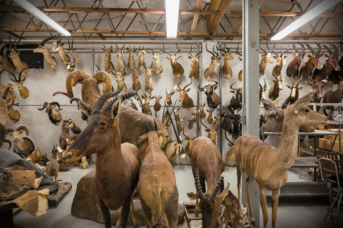 watjezietopdewe-extra-2.webp Wat je ziet op de weg als je de zaklamp aanzet: de verrassing uit Telangana - image 2