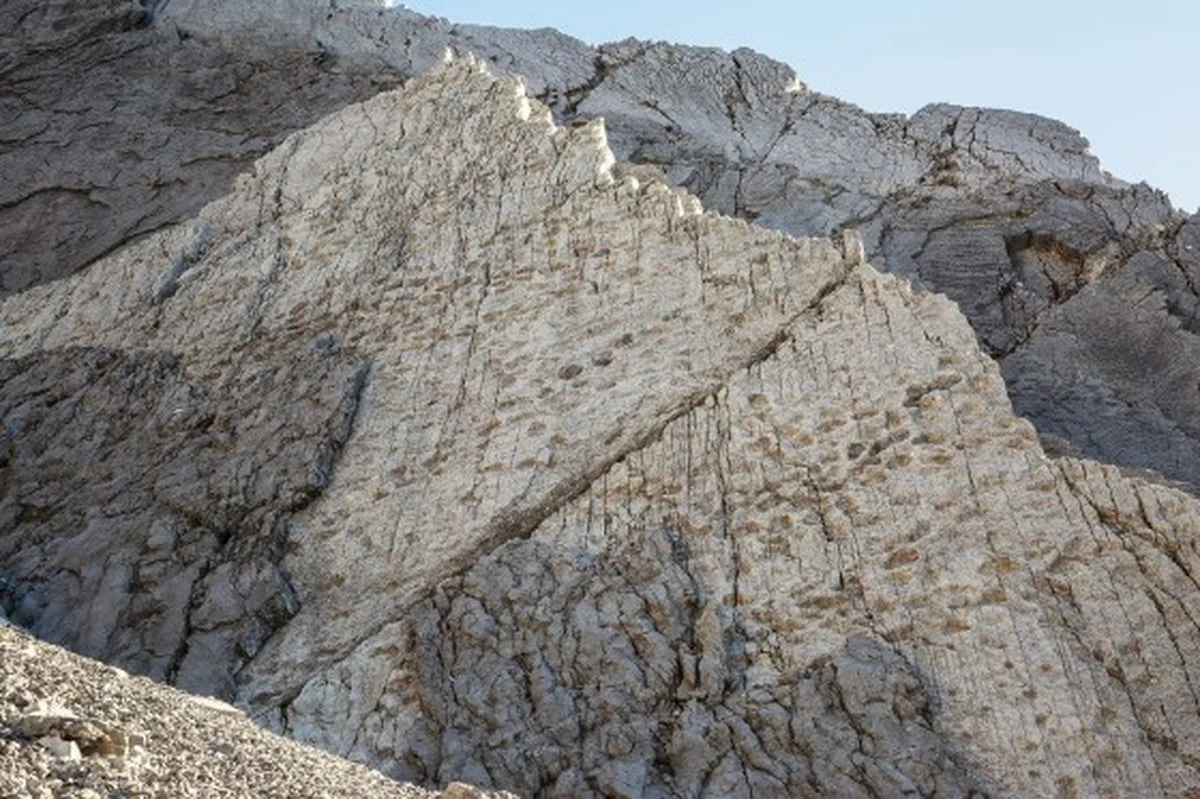 wateennatuurfot-extra-1.webp Wat een natuurfotograaf deed toen hij tienduizenden dinosaurusvoetafdrukken ontdekte in de Alpen - image 1