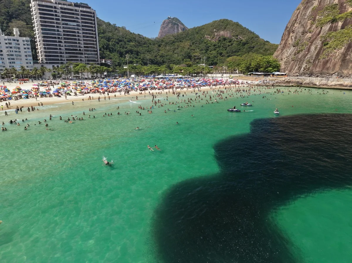 Waarom ervaren natuurfotografen de viszwermen bij Rio nu juist negeren